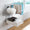 b2212adde21f79f36034513b39137464