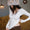 d9f42467c90396f384027099dae24389